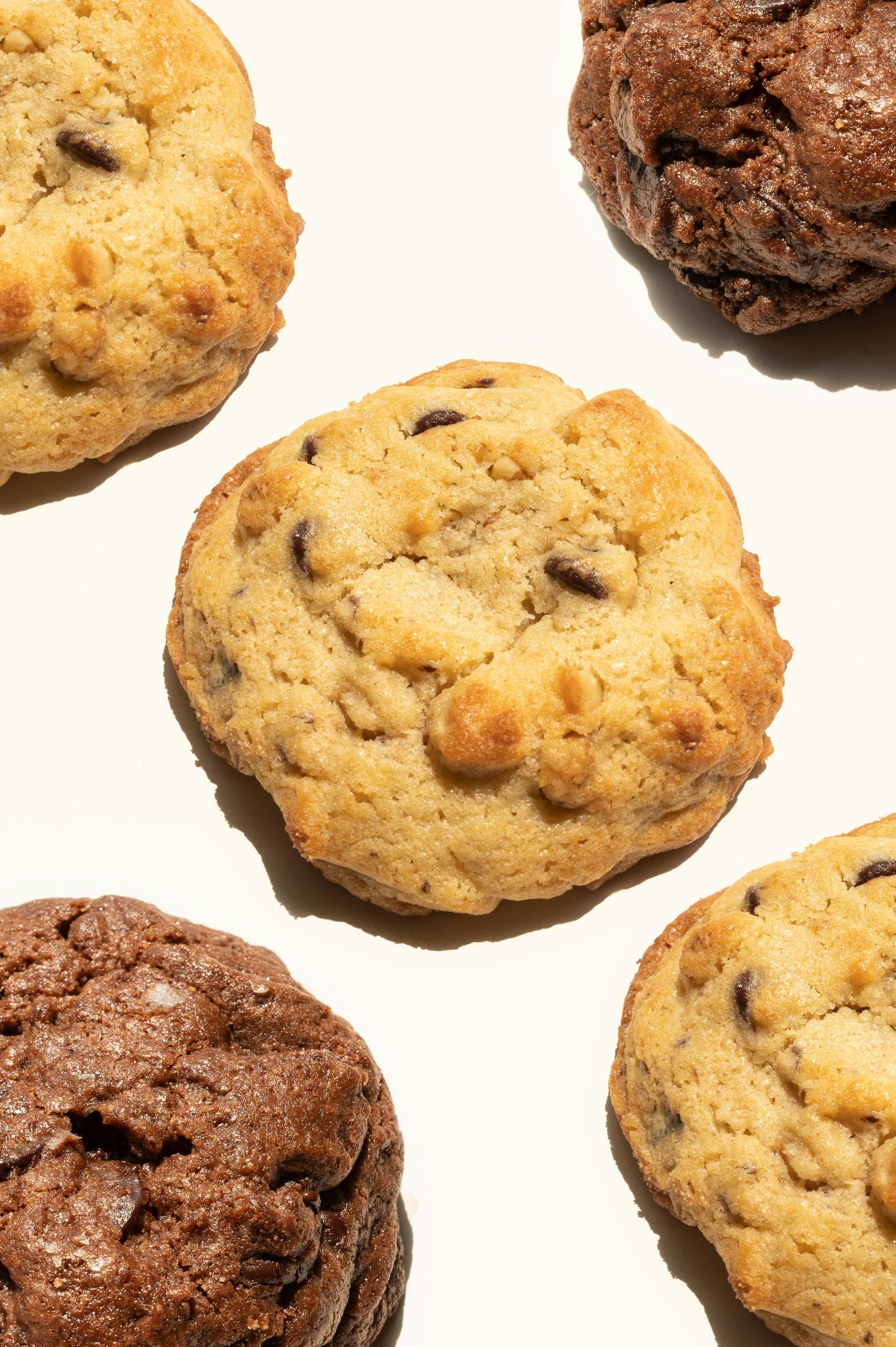 Assorted gourmet chocolate chip and dark chocolate cookies